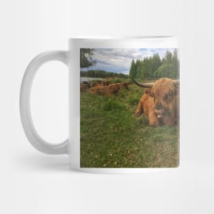 Scottish Highland Cattle Bulls 2037 Mug